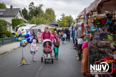 Zon, regen en hagel wisselden elkaar af tijdens de Schapenmarkt in Oldebroek, maar over het aantal bezoekers viel niets te klagen. - © NWVFoto.nl