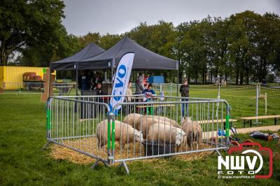 Zon, regen en hagel wisselden elkaar af tijdens de Schapenmarkt in Oldebroek, maar over het aantal bezoekers viel niets te klagen. - © NWVFoto.nl