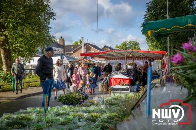 Zon, regen en hagel wisselden elkaar af tijdens de Schapenmarkt in Oldebroek, maar over het aantal bezoekers viel niets te klagen. - © NWVFoto.nl