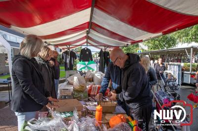 Zon, regen en hagel wisselden elkaar af tijdens de Schapenmarkt in Oldebroek, maar over het aantal bezoekers viel niets te klagen. - © NWVFoto.nl