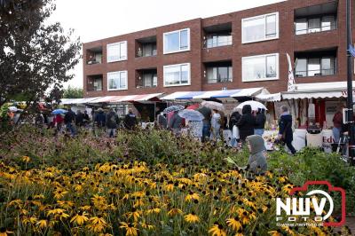 Zon, regen en hagel wisselden elkaar af tijdens de Schapenmarkt in Oldebroek, maar over het aantal bezoekers viel niets te klagen. - © NWVFoto.nl