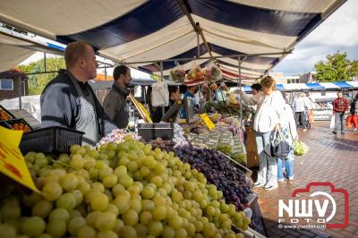 Zon, regen en hagel wisselden elkaar af tijdens de Schapenmarkt in Oldebroek, maar over het aantal bezoekers viel niets te klagen. - © NWVFoto.nl