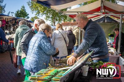 Zon, regen en hagel wisselden elkaar af tijdens de Schapenmarkt in Oldebroek, maar over het aantal bezoekers viel niets te klagen. - © NWVFoto.nl