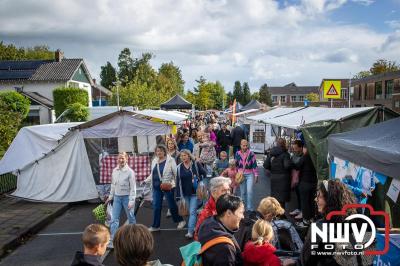 Zon, regen en hagel wisselden elkaar af tijdens de Schapenmarkt in Oldebroek, maar over het aantal bezoekers viel niets te klagen. - © NWVFoto.nl