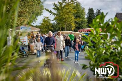 Zon, regen en hagel wisselden elkaar af tijdens de Schapenmarkt in Oldebroek, maar over het aantal bezoekers viel niets te klagen. - © NWVFoto.nl