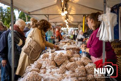 Zon, regen en hagel wisselden elkaar af tijdens de Schapenmarkt in Oldebroek, maar over het aantal bezoekers viel niets te klagen. - © NWVFoto.nl