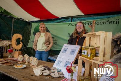 Zon, regen en hagel wisselden elkaar af tijdens de Schapenmarkt in Oldebroek, maar over het aantal bezoekers viel niets te klagen. - © NWVFoto.nl