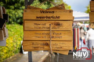 Zon, regen en hagel wisselden elkaar af tijdens de Schapenmarkt in Oldebroek, maar over het aantal bezoekers viel niets te klagen. - © NWVFoto.nl