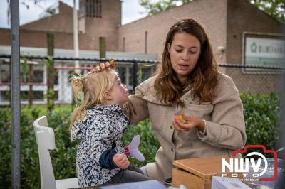 Zon, regen en hagel wisselden elkaar af tijdens de Schapenmarkt in Oldebroek, maar over het aantal bezoekers viel niets te klagen. - © NWVFoto.nl