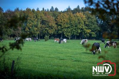 De koude zaterdagmorgen weerhield de meer dan 250 deelnemers niet om te starten bij de Run Oldebroek, georganiseerd door GlobalRize. - © NWVFoto.nl