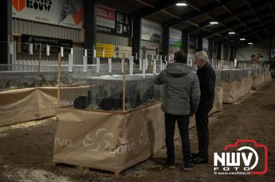 Prijsuitreiking Noord Veluwe Show georganiseerd door Sport Veredelt Oldebroek en Omstreken manage Laanzichtsweg Oldebroek. - © NWVFoto.nl