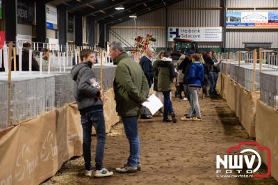 Prijsuitreiking Noord Veluwe Show georganiseerd door Sport Veredelt Oldebroek en Omstreken manage Laanzichtsweg Oldebroek. - © NWVFoto.nl