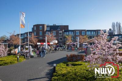 Gezellige voorjaarsmarkt bij het Nieuwe Feithenhof in Elburg - © NWVFoto.nl