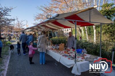 Gezellige voorjaarsmarkt bij het Nieuwe Feithenhof in Elburg - © NWVFoto.nl
