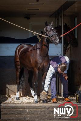 Paardensport in Topvorm: Grote Opkomst bij 41ste Concours in Doornspijk! - © NWVFoto.nl