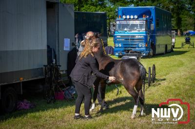 Paardensport in Topvorm: Grote Opkomst bij 41ste Concours in Doornspijk! - © NWVFoto.nl