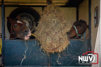 Paardensport in Topvorm: Grote Opkomst bij 41ste Concours in Doornspijk! - © NWVFoto.nl
