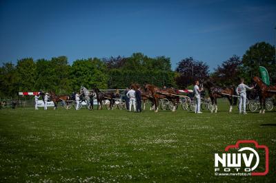 Paardensport in Topvorm: Grote Opkomst bij 41ste Concours in Doornspijk! - © NWVFoto.nl