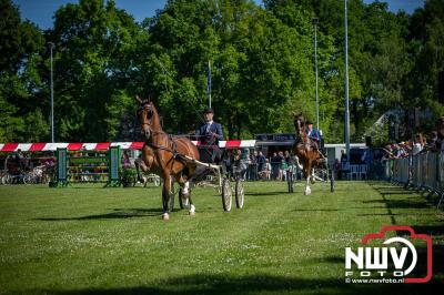 Paardensport in Topvorm: Grote Opkomst bij 41ste Concours in Doornspijk! - © NWVFoto.nl