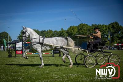 Paardensport in Topvorm: Grote Opkomst bij 41ste Concours in Doornspijk! - © NWVFoto.nl