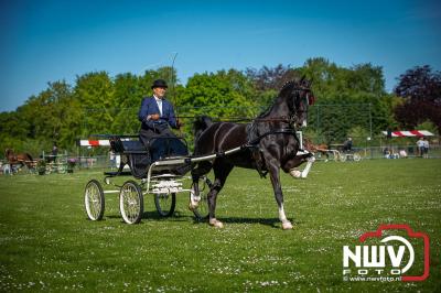 Paardensport in Topvorm: Grote Opkomst bij 41ste Concours in Doornspijk! - © NWVFoto.nl