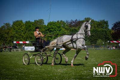 Paardensport in Topvorm: Grote Opkomst bij 41ste Concours in Doornspijk! - © NWVFoto.nl