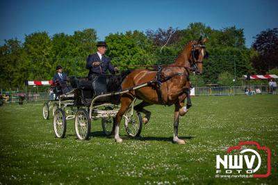 Paardensport in Topvorm: Grote Opkomst bij 41ste Concours in Doornspijk! - © NWVFoto.nl