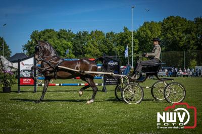 Paardensport in Topvorm: Grote Opkomst bij 41ste Concours in Doornspijk! - © NWVFoto.nl
