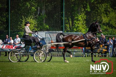 Paardensport in Topvorm: Grote Opkomst bij 41ste Concours in Doornspijk! - © NWVFoto.nl