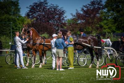Paardensport in Topvorm: Grote Opkomst bij 41ste Concours in Doornspijk! - © NWVFoto.nl