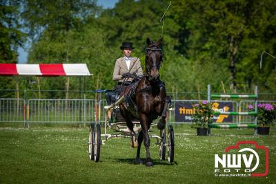 Paardensport in Topvorm: Grote Opkomst bij 41ste Concours in Doornspijk! - © NWVFoto.nl