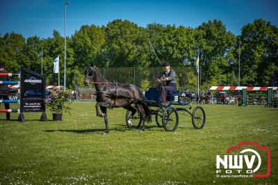 Paardensport in Topvorm: Grote Opkomst bij 41ste Concours in Doornspijk! - © NWVFoto.nl