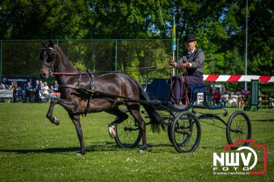 Paardensport in Topvorm: Grote Opkomst bij 41ste Concours in Doornspijk! - © NWVFoto.nl