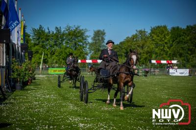Paardensport in Topvorm: Grote Opkomst bij 41ste Concours in Doornspijk! - © NWVFoto.nl