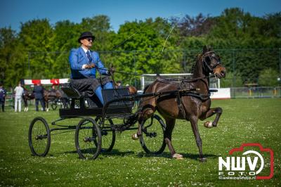 Paardensport in Topvorm: Grote Opkomst bij 41ste Concours in Doornspijk! - © NWVFoto.nl