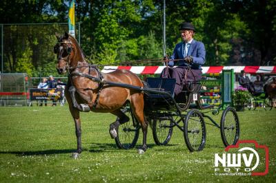 Paardensport in Topvorm: Grote Opkomst bij 41ste Concours in Doornspijk! - © NWVFoto.nl