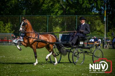 Paardensport in Topvorm: Grote Opkomst bij 41ste Concours in Doornspijk! - © NWVFoto.nl