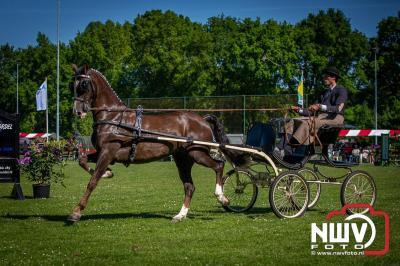 Paardensport in Topvorm: Grote Opkomst bij 41ste Concours in Doornspijk! - © NWVFoto.nl