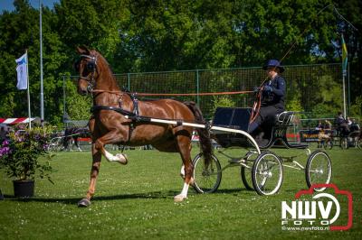 Paardensport in Topvorm: Grote Opkomst bij 41ste Concours in Doornspijk! - © NWVFoto.nl