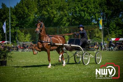 Paardensport in Topvorm: Grote Opkomst bij 41ste Concours in Doornspijk! - © NWVFoto.nl