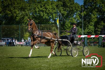 Paardensport in Topvorm: Grote Opkomst bij 41ste Concours in Doornspijk! - © NWVFoto.nl