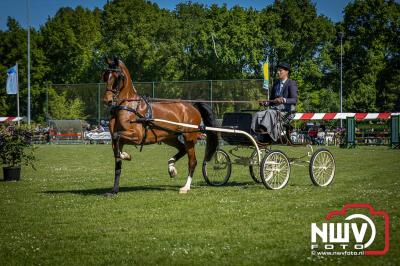 Paardensport in Topvorm: Grote Opkomst bij 41ste Concours in Doornspijk! - © NWVFoto.nl