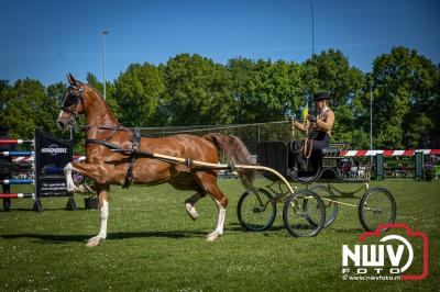 Paardensport in Topvorm: Grote Opkomst bij 41ste Concours in Doornspijk! - © NWVFoto.nl