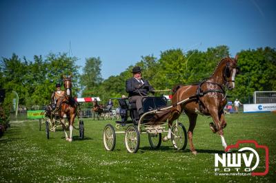 Paardensport in Topvorm: Grote Opkomst bij 41ste Concours in Doornspijk! - © NWVFoto.nl