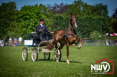 Paardensport in Topvorm: Grote Opkomst bij 41ste Concours in Doornspijk! - © NWVFoto.nl