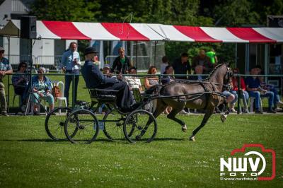 Paardensport in Topvorm: Grote Opkomst bij 41ste Concours in Doornspijk! - © NWVFoto.nl