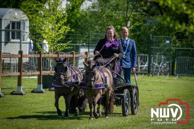 Paardensport in Topvorm: Grote Opkomst bij 41ste Concours in Doornspijk! - © NWVFoto.nl