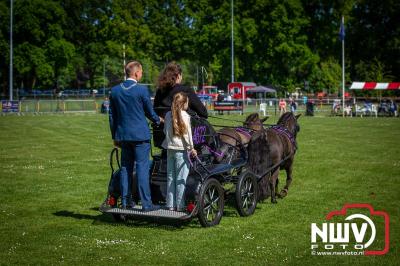 Paardensport in Topvorm: Grote Opkomst bij 41ste Concours in Doornspijk! - © NWVFoto.nl