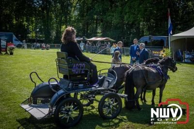 Paardensport in Topvorm: Grote Opkomst bij 41ste Concours in Doornspijk! - © NWVFoto.nl