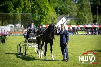 Paardensport in Topvorm: Grote Opkomst bij 41ste Concours in Doornspijk! - © NWVFoto.nl